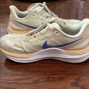 Nike Beige and Blue Running Shoes
